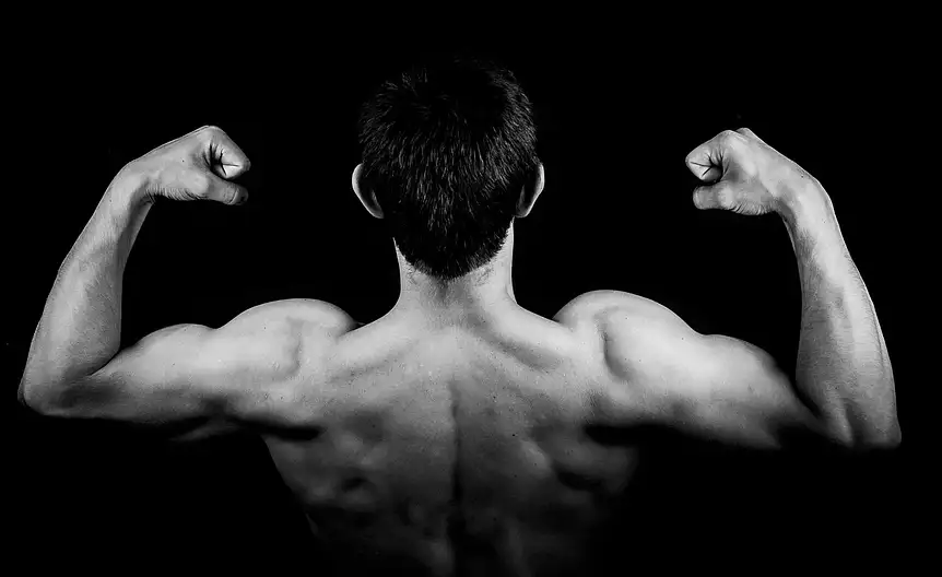 Silny i dobrze rozwiniety triceps